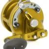 Avet HXJ 5/2 MC Raptor Two-Speed Lever Drag Casting Reels Gold -Fishing Gear Store avet hxj 52 mc raptor two speed lever drag casting reel ave 0168 1 43312.1650775720.386.513
