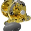 Avet HXW 5/2 Two-Speed Lever Drag Casting Reels Gold -Fishing Gear Store avet hxw 52 two speed lever drag casting reels ave 0096 1 76868.1650775772.386.513