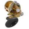 Avet MXL G2 5.8 MC Single Speed Reel Gold -Fishing Gear Store avet mxl g2 5 8 mc single speed reel ave 0531 1 54452.1650991954.386.513