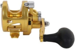Avet SXJ 5.3 G2 NGP 1 Speed Reel - Gold (No Glide Plate) -Fishing Gear Store avet sxj 5 3 g2 rh gd ngp reel 48123.1670343029