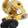 Avet SXJ 5.3 G2 NGP 1 Speed Reel - Gold (No Glide Plate) -Fishing Gear Store avet sxj 5 3 g2 rh gd ngp reel 61810.1670343027