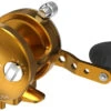 Avet SXJ 6/4 MC Raptor 2-Speed Lever Drag Casting Reel Gold -Fishing Gear Store avet sxj 64 mc raptor 2 speed lever drag casting reel ave 0343 1 88875.1650992236