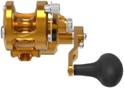 Avet SXJ 6/4 MC Raptor 2-Speed Lever Drag Casting Reel Gold -Fishing Gear Store avet sxj 64 mc raptor 2 speed lever drag casting reel ave 0343 1 94288.1650992238
