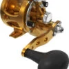 Avet SXJ G2 5.3 Single Speed Reel Gold -Fishing Gear Store avet sxj g2 5 3 single speed reel ave 0518 1 13647.1670343022.386.513