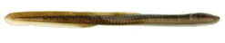 Berkley Gulp! Saltwater Eel -Fishing Gear Store berkley gse10 gulp saltwater eel 10in 09599.1651153520