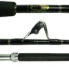 Blackfin Saltwater Deep Drop Fishing Rods -Fishing Gear Store blackfin saltwater deep drop fishing rods 76476.1651075242