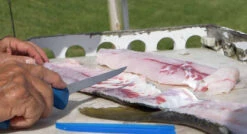 Cuda AquaTuff Fillet Knifes With Blade Cover 13 Cuda AquaTuff Fillet Knifes With Blade Cover -Fishing Gear Store cuda aquatuff fillet knifes with blade cover 54461.1676038842