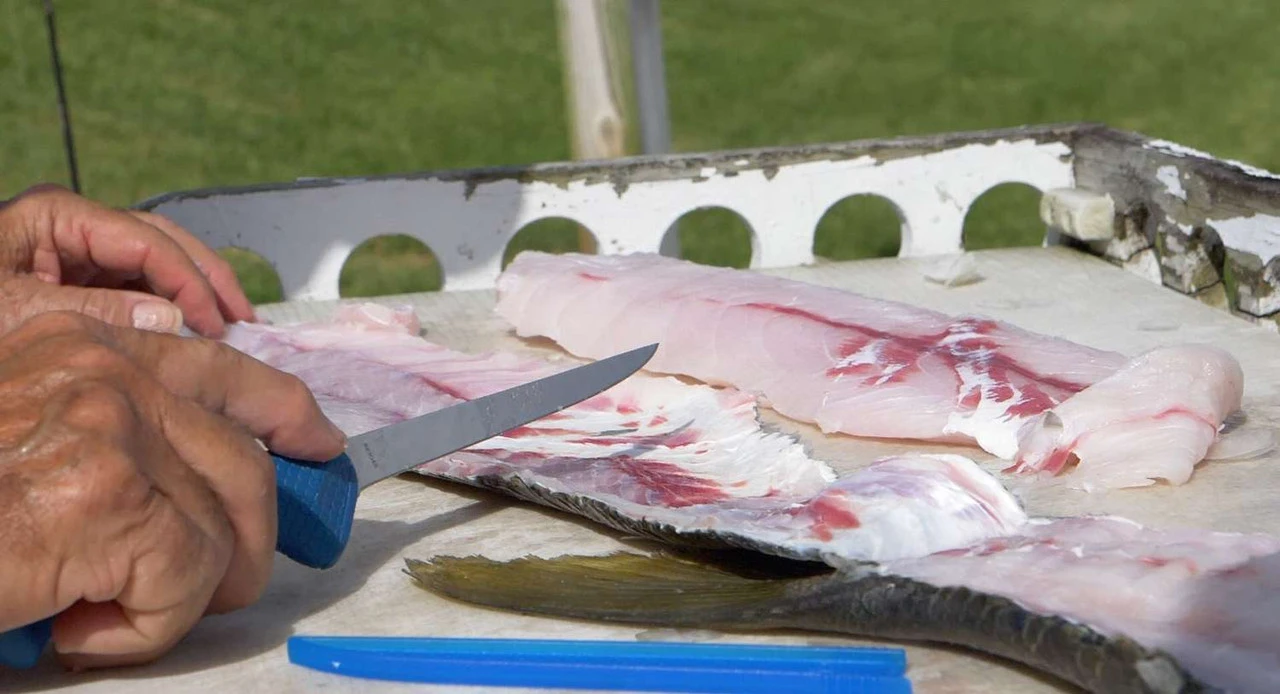 Cuda AquaTuff Fillet Knifes With Blade Cover 8 Cuda AquaTuff Fillet Knifes With Blade Cover - Image 6