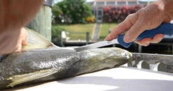 Cuda AquaTuff Fillet Knifes With Blade Cover 11 Cuda AquaTuff Fillet Knifes With Blade Cover -Fishing Gear Store cuda aquatuff fillet knifes with blade cover 74934.1676038841