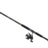 Daiwa BG Saltwater Spinning Combos -Fishing Gear Store daiwa bg saltwater spinning combos 43559.1651169801.386.513