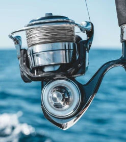 Daiwa Certate SW Spinning Reels -Fishing Gear Store daiwa certate sw spinning reels 63585.1651409087