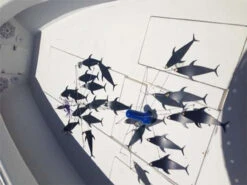 Fish Razr Double Bar Standard Dredge -Fishing Gear Store fish razr double bar standard dredge 42479.1650780016