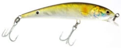Guides Secret Shore Catch Mucho Minnow Lures 3DBUNK 3D Bunker