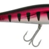Halco Slidog 125 Stickbait -Fishing Gear Store halco slidog 125 25373.1651356167.386.513