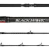 Jigging World Black Hawk Casting Rods -Fishing Gear Store jigging world black hawk casting rods 56849.1651245810