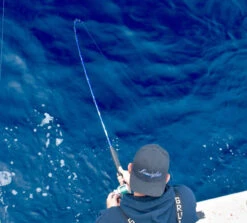 Lamiglas Bluewater Series Rods -Fishing Gear Store lamiglas bluewater series rods 05107.1651112013