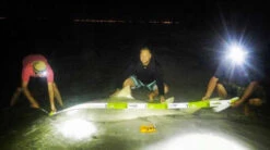 Land Shark Release Ruler 8 Land Shark Release Ruler -Fishing Gear Store land shark release ruler 11725.1651112068