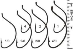 Mustad 37162 Gold Wide Gap English Bait Hooks 5 Mustad 37162 Gold Wide Gap English Bait Hooks -Fishing Gear Store musgolwirgap 91991.1650814777