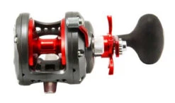 Okuma Cortez Star Drag Reels -Fishing Gear Store okuma cortez star drag reels 49542.1651091956