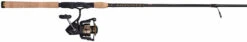 Penn BTLIII3000701ML Battle III Spinning Combo -Fishing Gear Store penn btliii3000701ml battle iii spinning combo 53686.1651356195