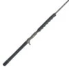 Penn Carnage III Conventional Jig Rods -Fishing Gear Store penn carnage iii conventional jig rods 87601.1665204485.386.513