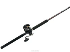 Penn Warfare Level Wind Combos -Fishing Gear Store penn warfare level wind combos 13259.1650815140