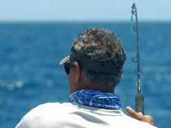 Shimano Terez Spinning Rods -Fishing Gear Store shimano terez spinning fishing rods 44313.1651006832