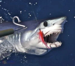 Strike Point Value Dredge Bars -Fishing Gear Store strike point tackle value dredge bars 59314.1651322943