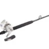 Penn International 30VISXS / TackleDirect Platinum Hook Standup Combo -Fishing Gear Store tackledirect platinum hook tdps603050sin penn 30vsxs standup combo 05488.1651325904