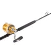 Penn International 50VISW / TackleDirect Platinum Hook Standup Combo -Fishing Gear Store tackledirect platinum hook tdps645080wtsin penn 50vsw gold combo 61476.1651325905