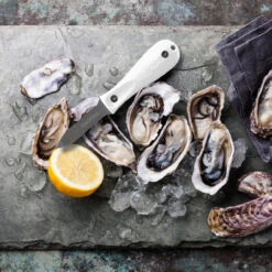 Toadfish Professional Edition Oyster Knife 7 Toadfish Professional Edition Oyster Knife -Fishing Gear Store toadfish professional edition oyster knife 11609.1651368944