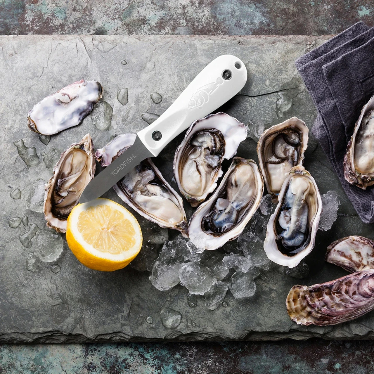 Toadfish Professional Edition Oyster Knife 5 Toadfish Professional Edition Oyster Knife - Image 3