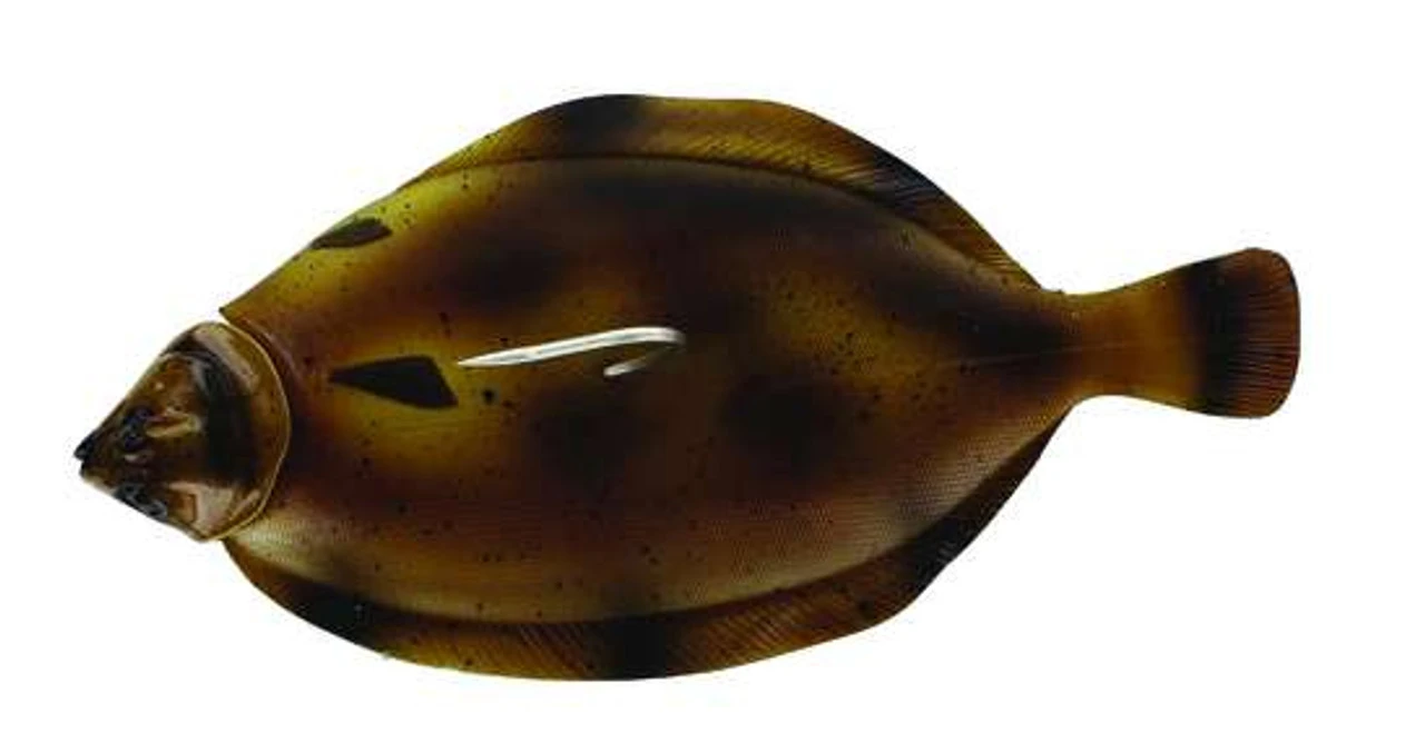 Westin Flat Matt Lure 5 Westin Flat Matt Lure - Image 3