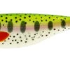 Westin ShadTeez Lure - 3-1/2in - Lively Roach -Fishing Gear Store westin shadteez lure 3 1 2in wst 0021 8 47185.1651335091